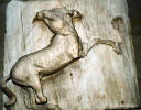 image10