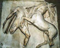 image10