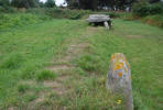 image4